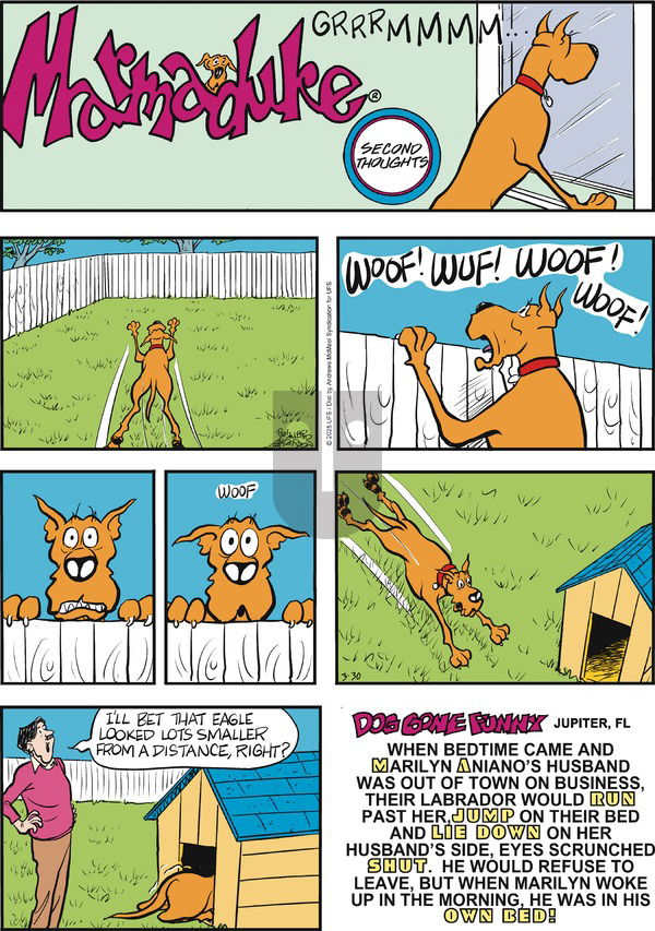 Marmaduke on Sunday March 30, 2025 Comic Strip