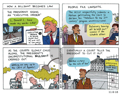 Ted Rall on Friday November 9, 2018 Comic Strip
