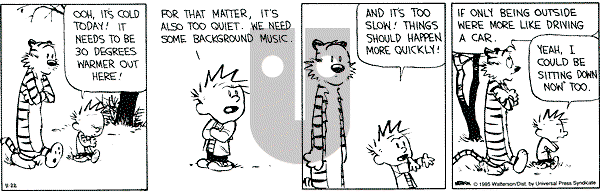 Calvin and Hobbes - Wednesday November 22, 1995 Comic Strip