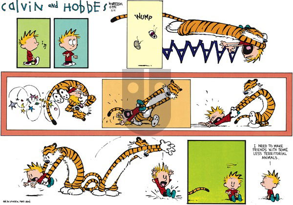Calvin and Hobbes on Sunday September 20, 1992 Comic Strip