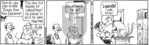 The Elderberries on Tuesday November 20, 2007 Comic Strip