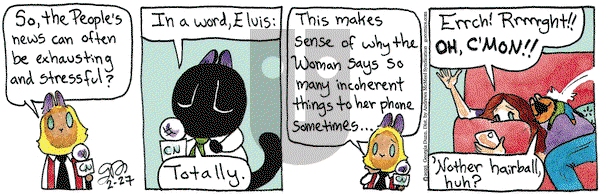 Breaking Cat News on Thursday February 27, 2025 Comic Strip