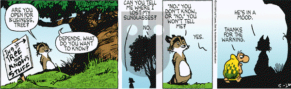 Over the Hedge on Monday May 26, 2025 Comic Strip