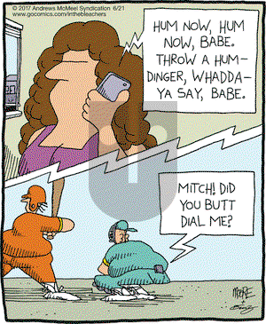 In the Bleachers on Wednesday June 21, 2017 Comic Strip