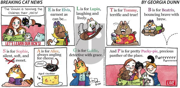 Breaking Cat News on Sunday June 7, 2020 Comic Strip