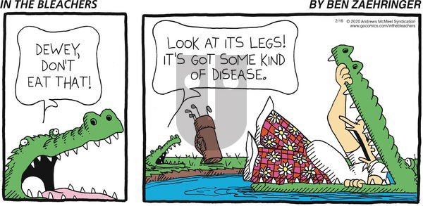 In the Bleachers on Sunday February 16, 2020 Comic Strip