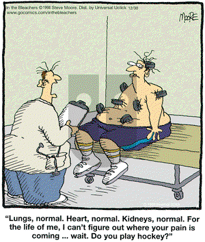 In the Bleachers on Wednesday December 30, 2015 Comic Strip