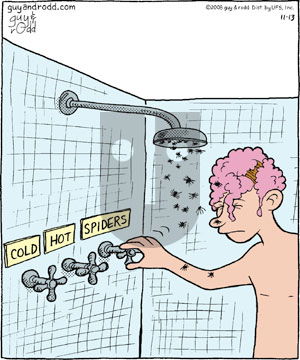 Brevity on Thursday November 13, 2008 Comic Strip