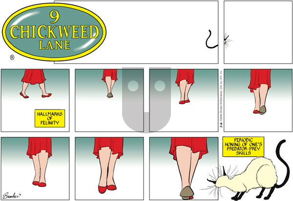 9 Chickweed Lane on Sunday March 16, 2008 Comic Strip