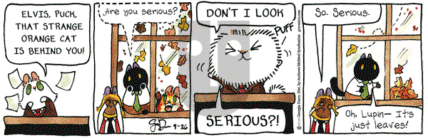 Breaking Cat News on Thursday September 26, 2019 Comic Strip