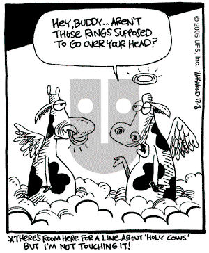 Reality Check on Thursday December 8, 2005 Comic Strip