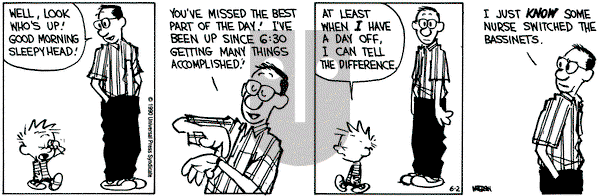 Calvin and Hobbes on Saturday June 2, 1990 Comic Strip