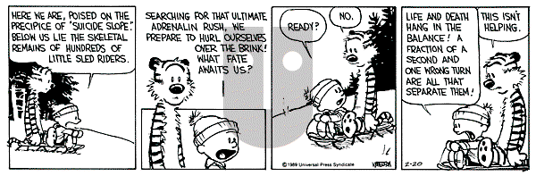 Calvin and Hobbes - Monday February 20, 1989 Comic Strip