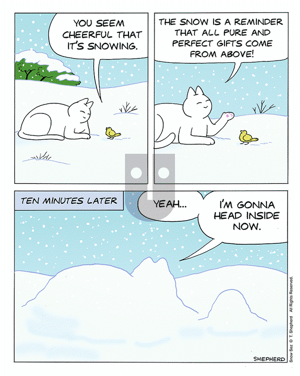 Snow Sez on Monday January 20, 2025 Comic Strip