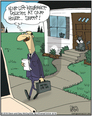 The Flying McCoys on Friday August 19, 2016 Comic Strip