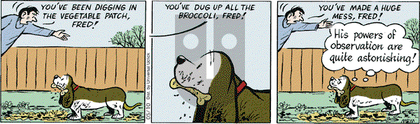 Fred Basset on Friday May 10, 2013 Comic Strip