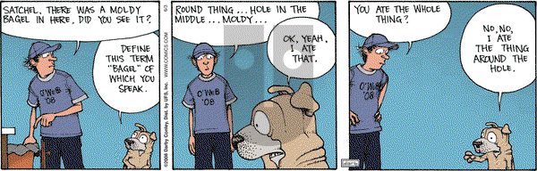 Get Fuzzy on Tuesday June 3, 2008 Comic Strip