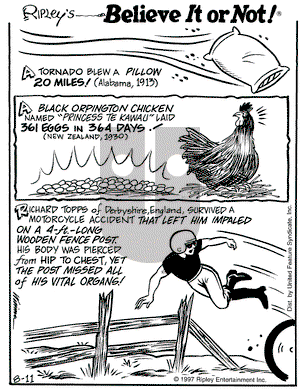Ripley's Believe It or Not on Monday August 11, 1997 Comic Strip