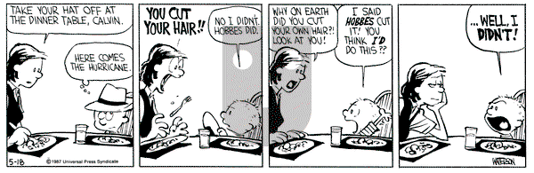 Calvin and Hobbes on Monday May 18, 1987 Comic Strip