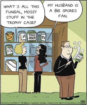 Brevity on Wednesday March 15, 2017 Comic Strip