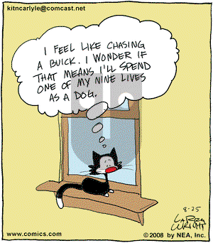 Kit 'N' Carlyle on Monday August 25, 2008 Comic Strip