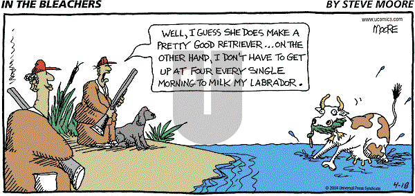 In the Bleachers on Sunday April 18, 2004 Comic Strip