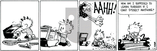 Calvin and Hobbes - Friday July 26, 2024 Comic Strip