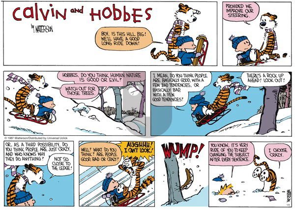 Calvin and Hobbes - Sunday January 8, 2017 Comic Strip