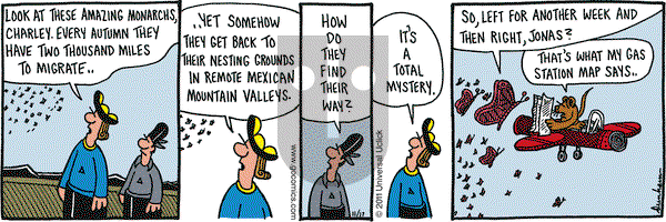 Overboard on Thursday November 17, 2011 Comic Strip