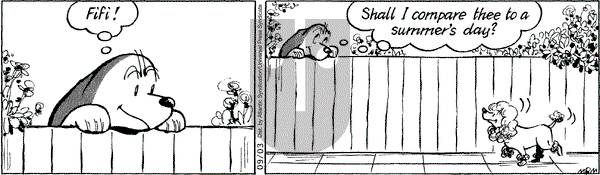 Fred Basset on Thursday September 3, 2009 Comic Strip