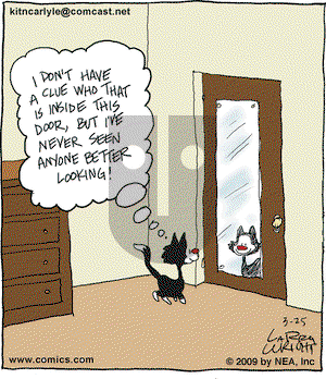Kit 'N' Carlyle on Wednesday March 25, 2009 Comic Strip