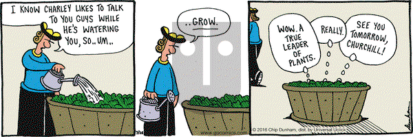 Overboard on Tuesday July 26, 2016 Comic Strip