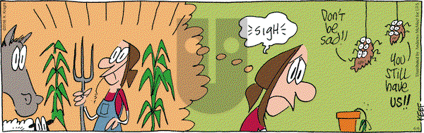 The Knight Life on Wednesday June 6, 2018 Comic Strip