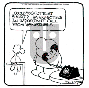 Ziggy on Wednesday December 30, 1992 Comic Strip