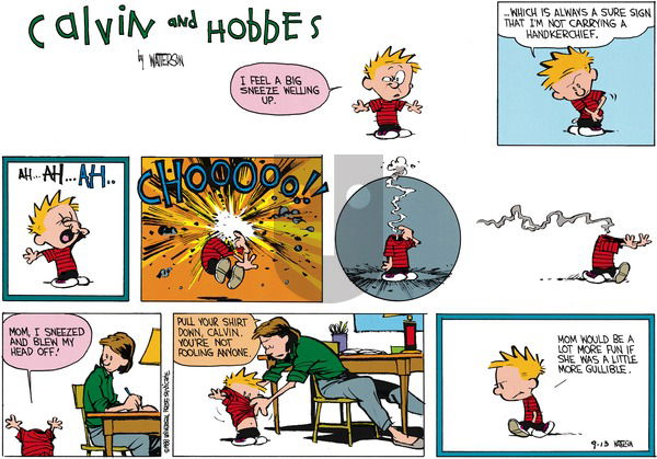 Calvin and Hobbes on Sunday October 23, 1988 Comic Strip