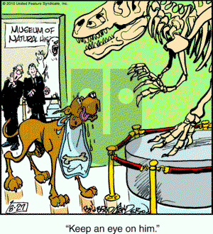 Marmaduke on Friday August 27, 2010 Comic Strip