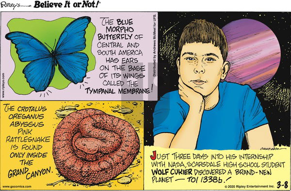 Ripley's Believe It or Not on Sunday March 8, 2020 Comic Strip