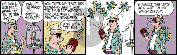 Monty on Monday April 3, 2017 Comic Strip