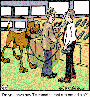 Marmaduke on Friday February 6, 2009 Comic Strip