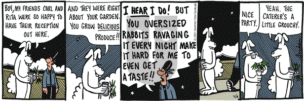 Overboard on Wednesday July 4, 2007 Comic Strip