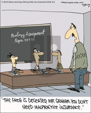 The Flying McCoys on Wednesday March 3, 2010 Comic Strip