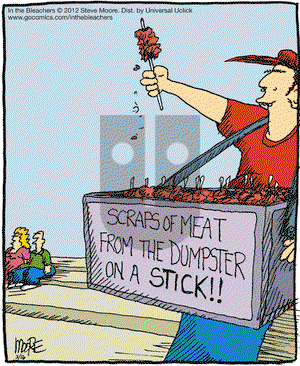 In the Bleachers on Friday March 16, 2012 Comic Strip