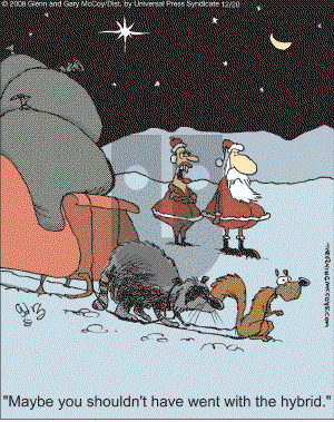 The Flying McCoys on Saturday December 20, 2008 Comic Strip