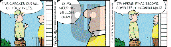 The Born Loser on Wednesday April 26, 2017 Comic Strip