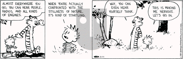 Calvin and Hobbes on Tuesday August 11, 2015 Comic Strip
