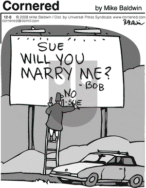 Cornered on Saturday December 6, 2008 Comic Strip