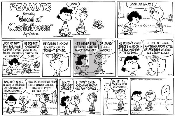Peanuts on Sunday September 25, 1977 Comic Strip
