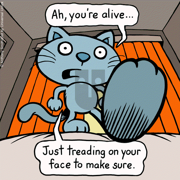 Cattitude — Doggonit - Saturday November 26, 2022 Comic Strip