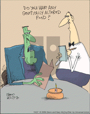The Flying McCoys on Tuesday October 27, 2009 Comic Strip