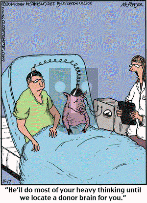 Close to Home on Monday November 17, 2014 Comic Strip